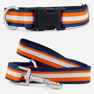 Striped dog collar with plastic buckle 