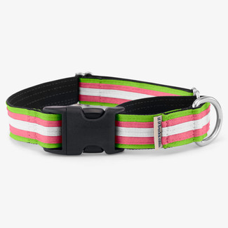 Striped Comfort Martingale with plastic buckle 