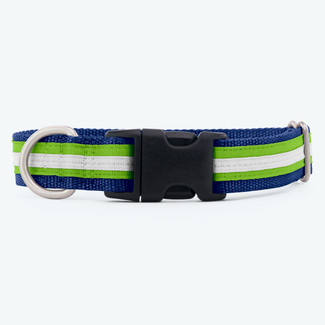 Image of striped webbing dog collar