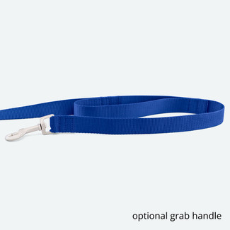 Optional grab handle on leash