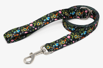 Designer Dog Leashes