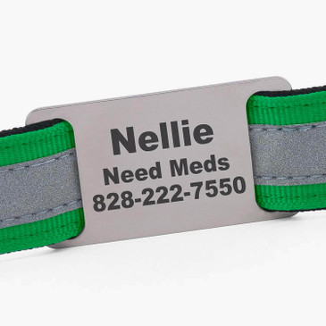 Personalized name plate on reflective comfort leash