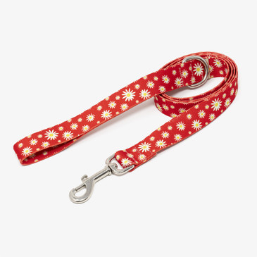 Delightful Daisies Dog Leash