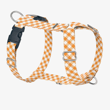 Orange Gingham Dog Harness