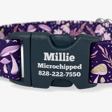 Moonlit Mushrooms Dog Collar  personalized buckle