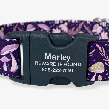 Buckle personalized