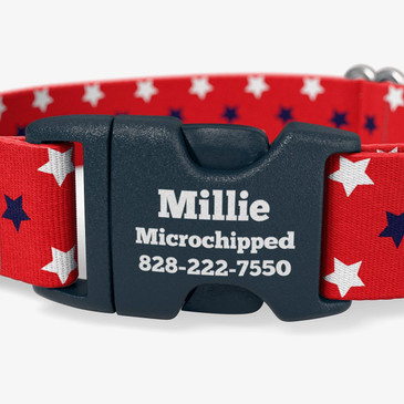 Buckle personalized