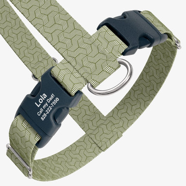 closeup view of harness with personalized buckle