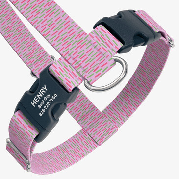 closeup view of harness with personalized buckle