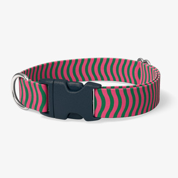 image of front of collar.