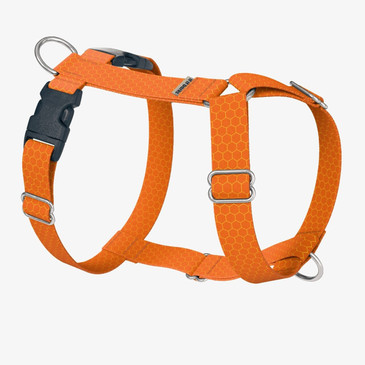front view of harness
