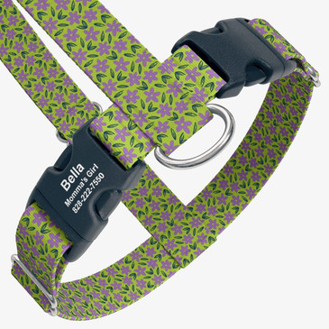 closeup view of harness with personalized buckle