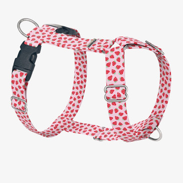 front view of harness