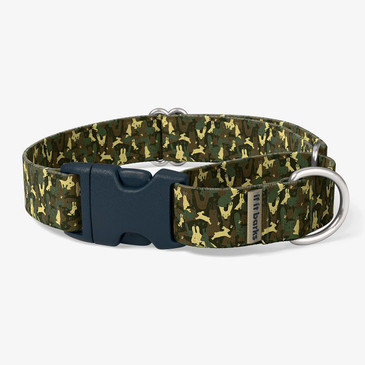 front view of collar