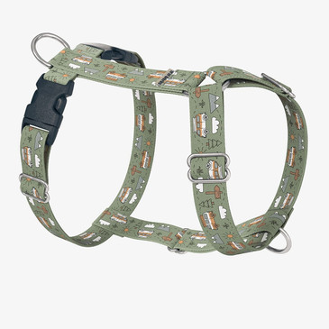 front view of harness
