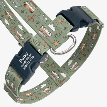 closeup view of harness with personalized buckle