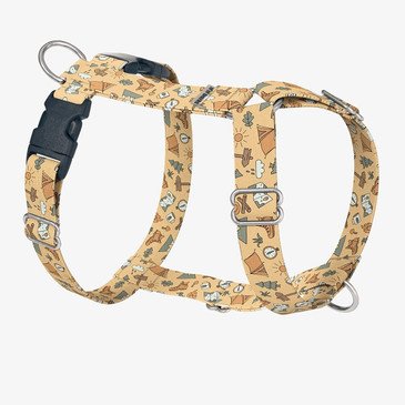 front view of harness