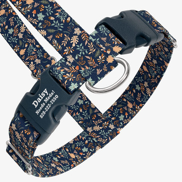 closeup view of harness with personalized buckle