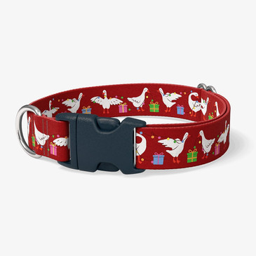 image of front of collar.