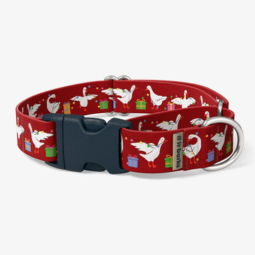 front view of collar