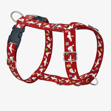 front view of harness