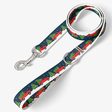 front view of leash