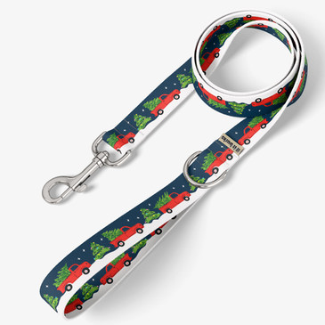 front view of leash