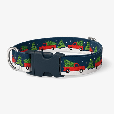 image of front of collar.