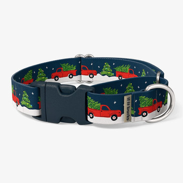 front view of collar