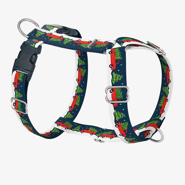 front view of harness