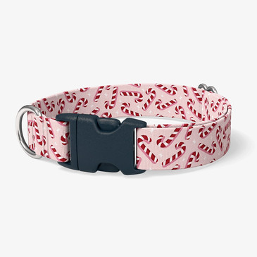 image of front of collar.