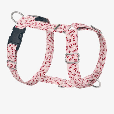 front view of harness