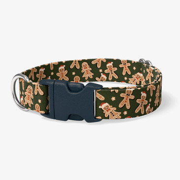 image of front of collar.