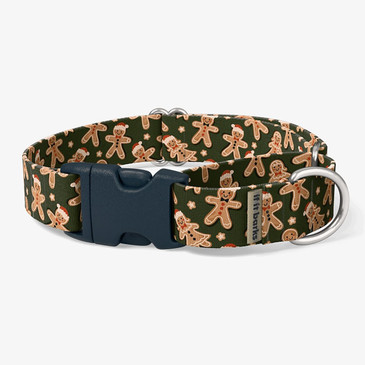 front view of collar