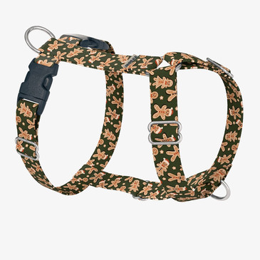 front view of harness