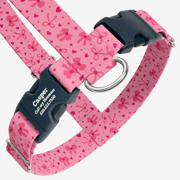 closeup view of harness with personalized buckle