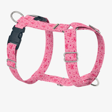 front view of harness