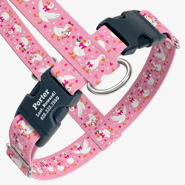 closeup view of harness with personalized buckle