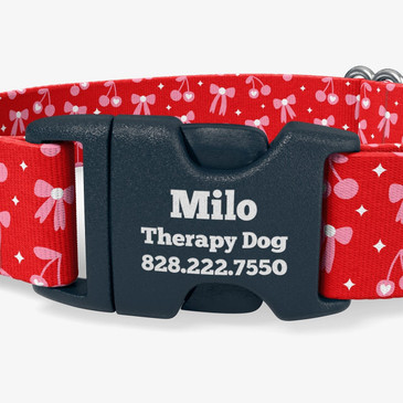 closeup of buckle personalization