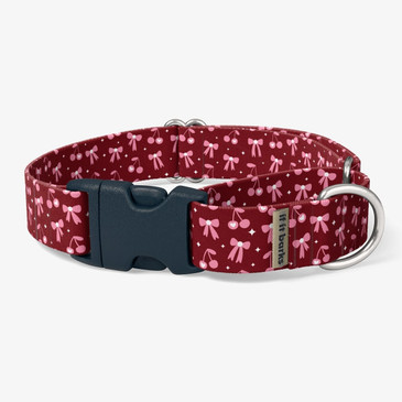 front view of collar