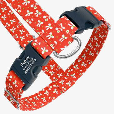 closeup view of harness with personalized buckle