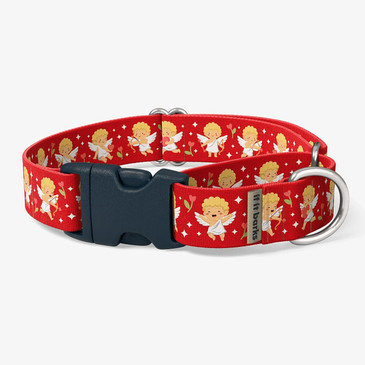 front view of collar