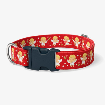 image of front of collar.