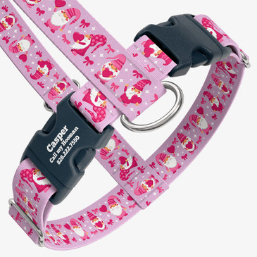 closeup view of harness with personalized buckle