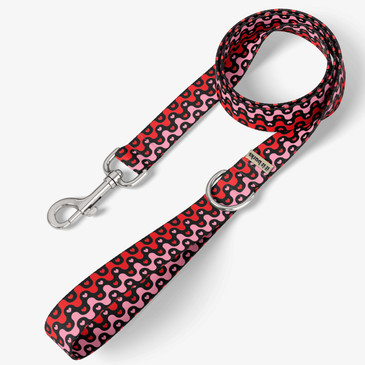 front view of leash