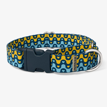 front view of collar