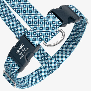 closeup view of harness with personalized buckle