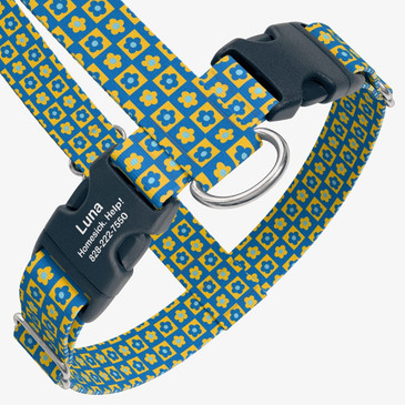 closeup view of harness with personalized buckle