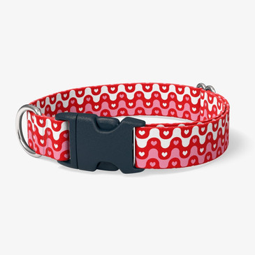 image of front of collar.