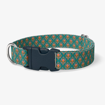 image of front of collar.